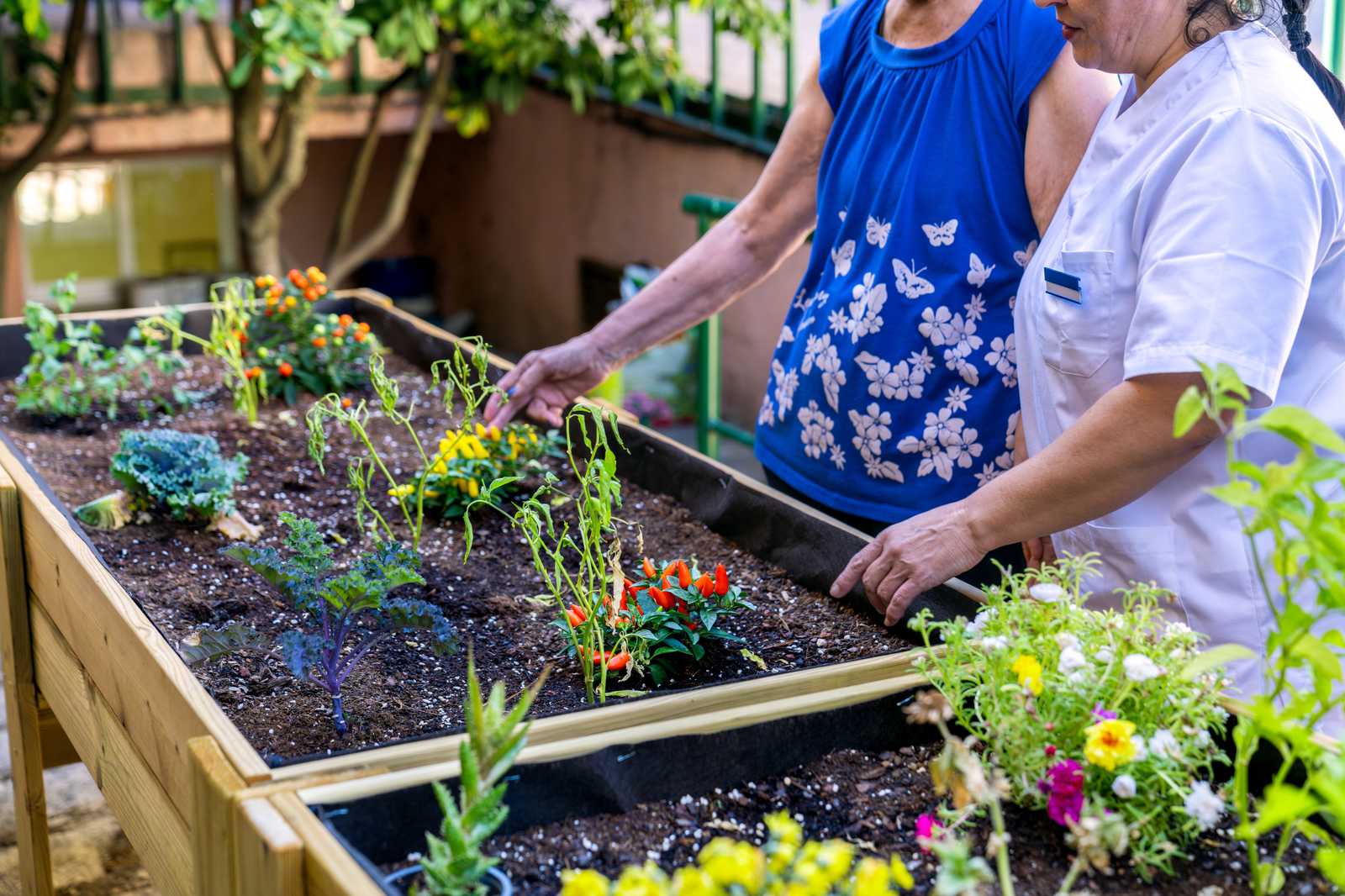 Standing-height raised garden bed designed for easier access