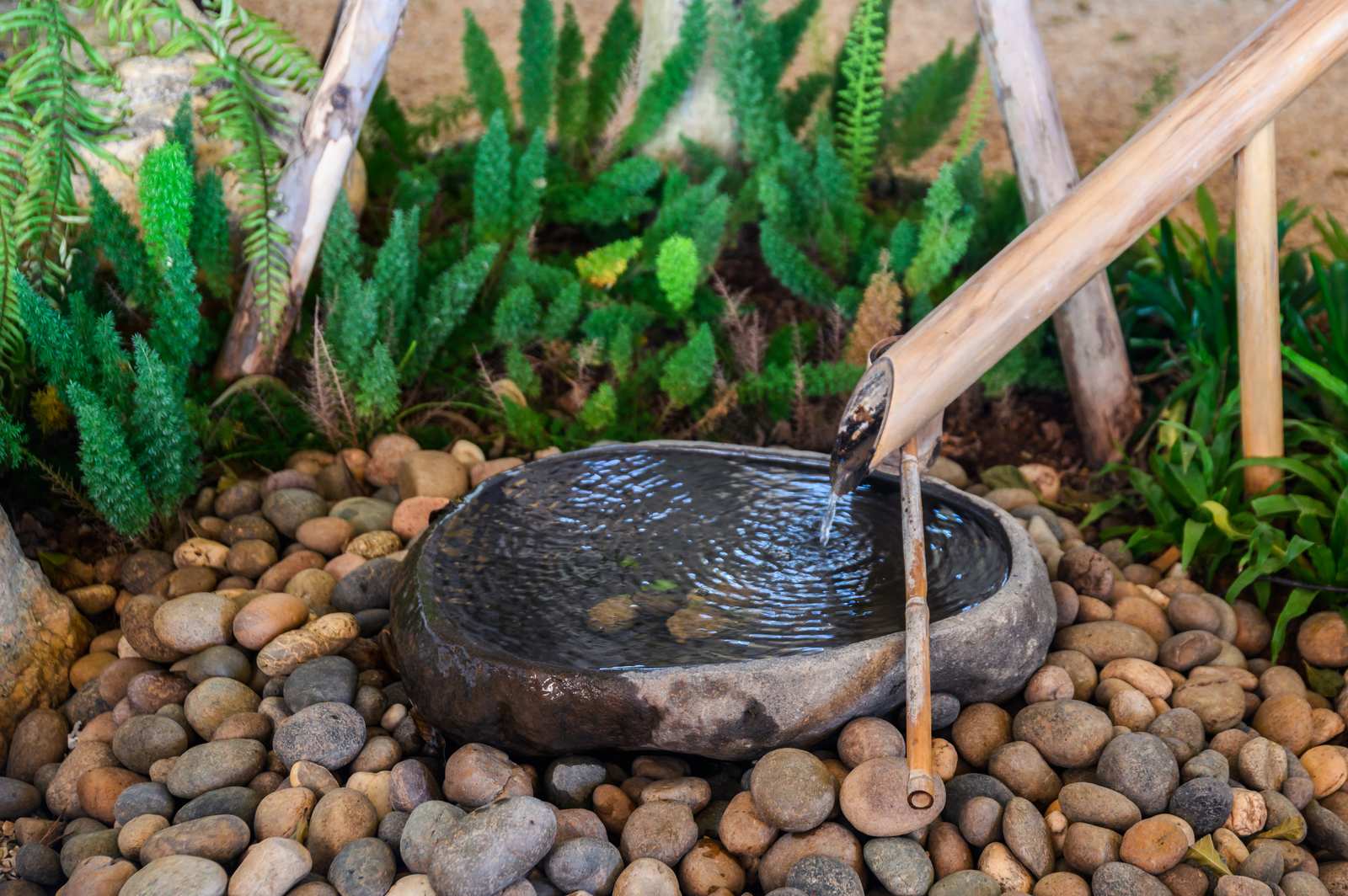 Bamboo water feature creating a gentle soundscape over a stone basin