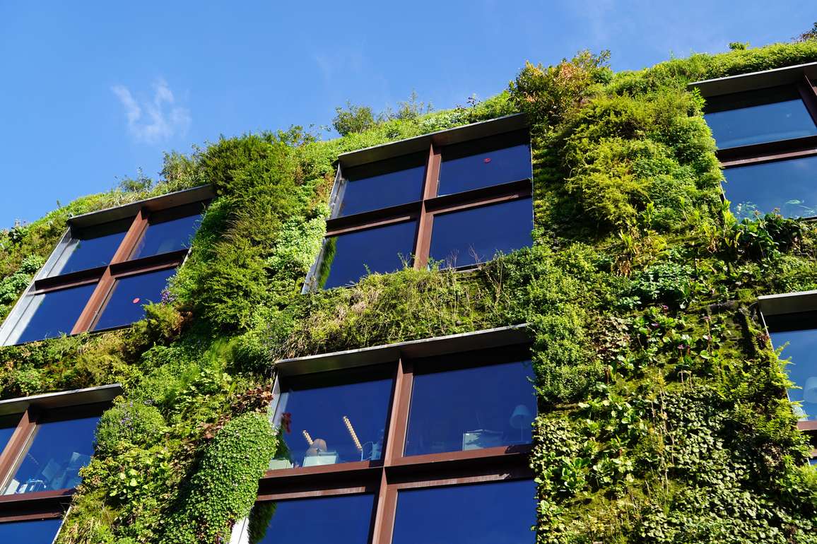 Modern building facade fully covered by a living green wall