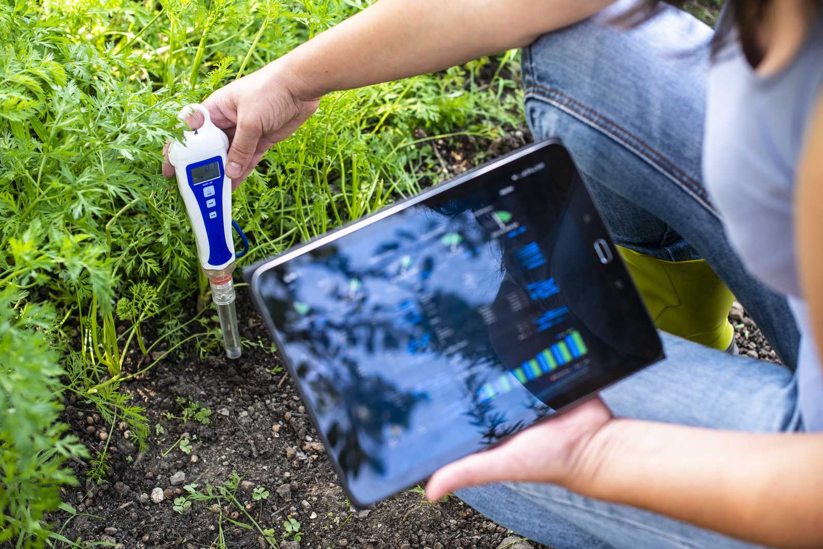 IoT soil sensor paired with a tablet displaying live green space data