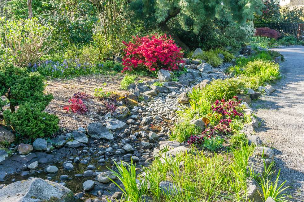 Dry creek bed swale channeling rainwater runoff through a planted garden
